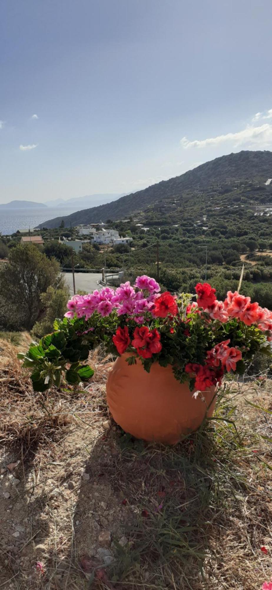 Hari Apartments Vathi, Agios Nikolaos Crete Εξωτερικό φωτογραφία