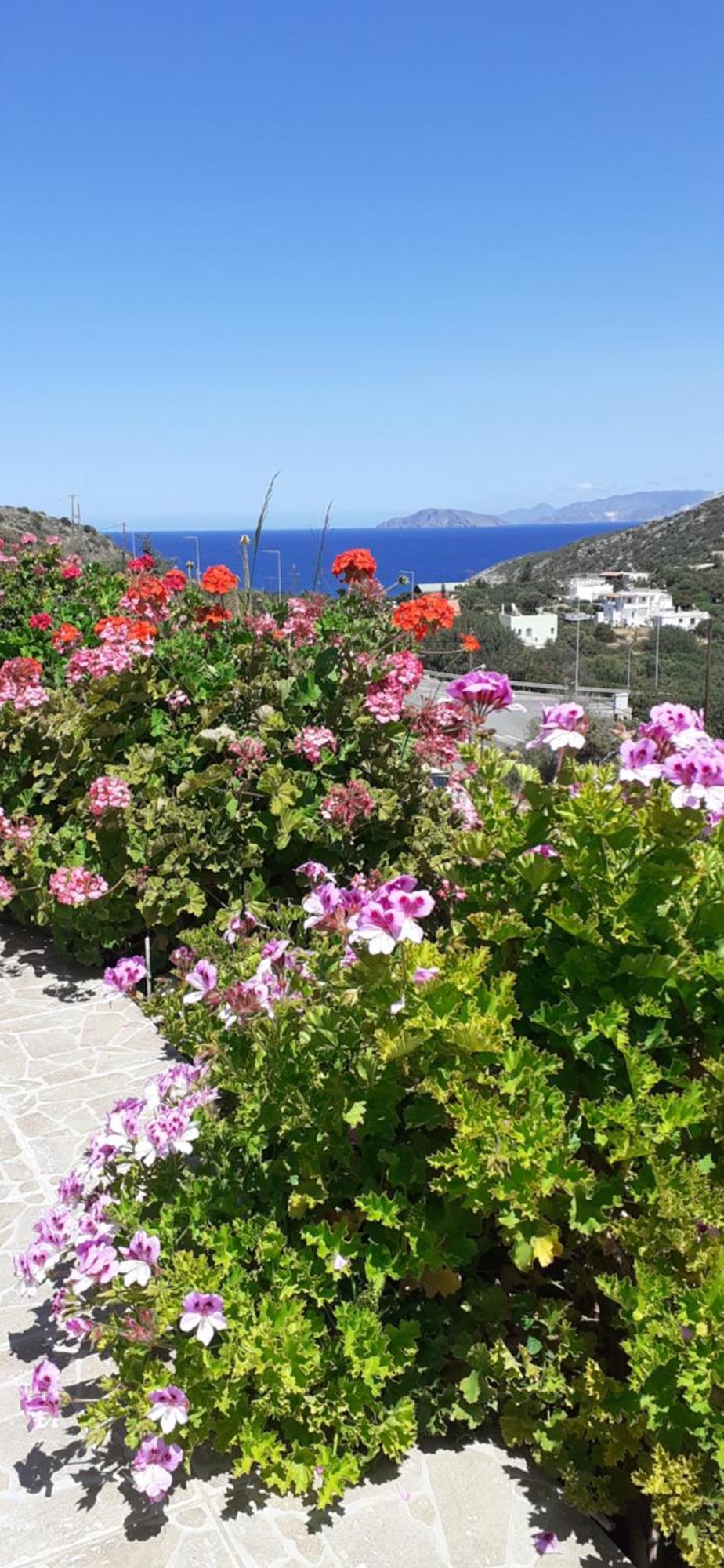 Hari Apartments Vathi, Agios Nikolaos Crete Εξωτερικό φωτογραφία
