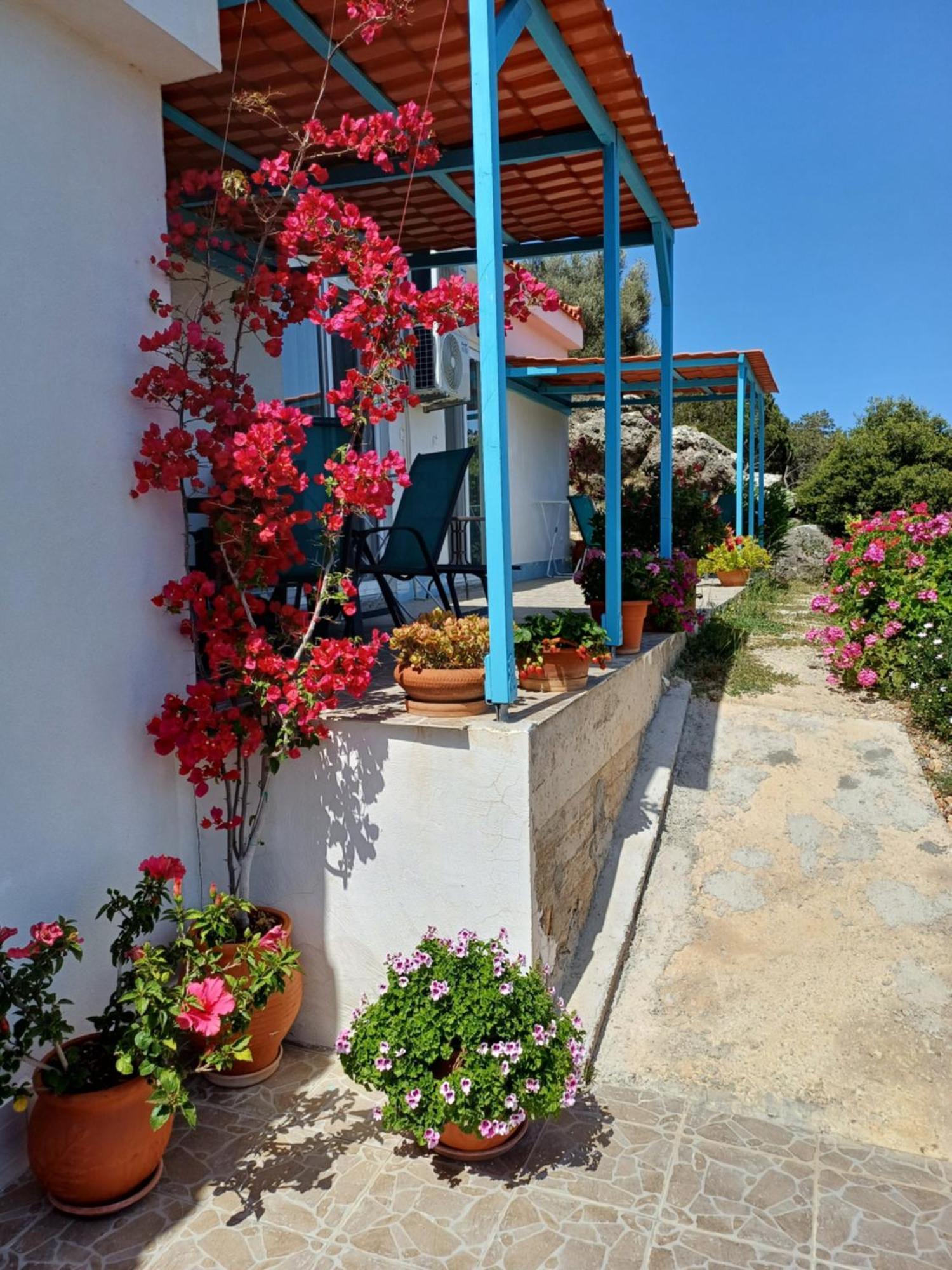 Hari Apartments Vathi, Agios Nikolaos Crete Εξωτερικό φωτογραφία
